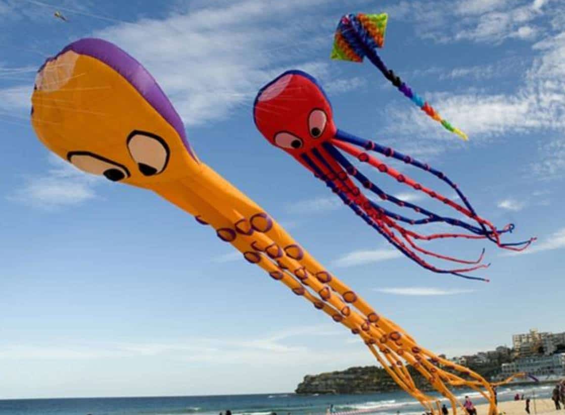 Bondi Events Wind Festival