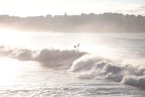 bondi sunrise surfer 2021 08 29 22 47 24 utc