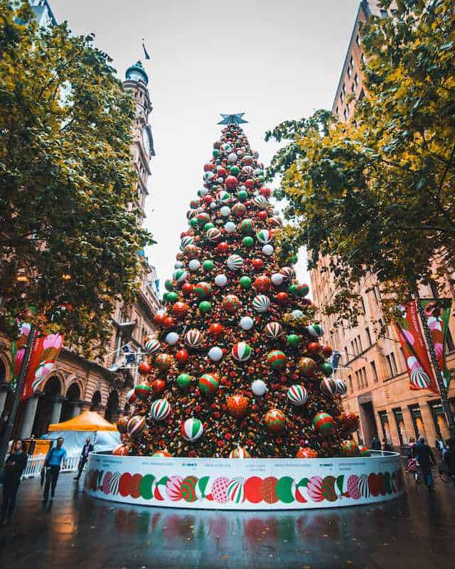 martin place christmas tree