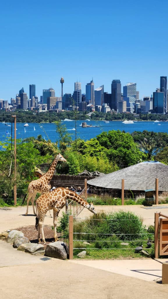 tarronga zoo sydney