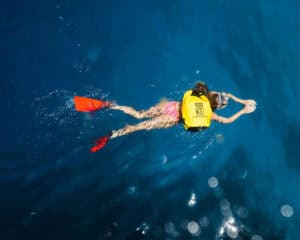 snorkling bondi beach