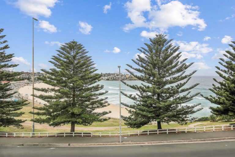 bondi 38 apartment 7 00014