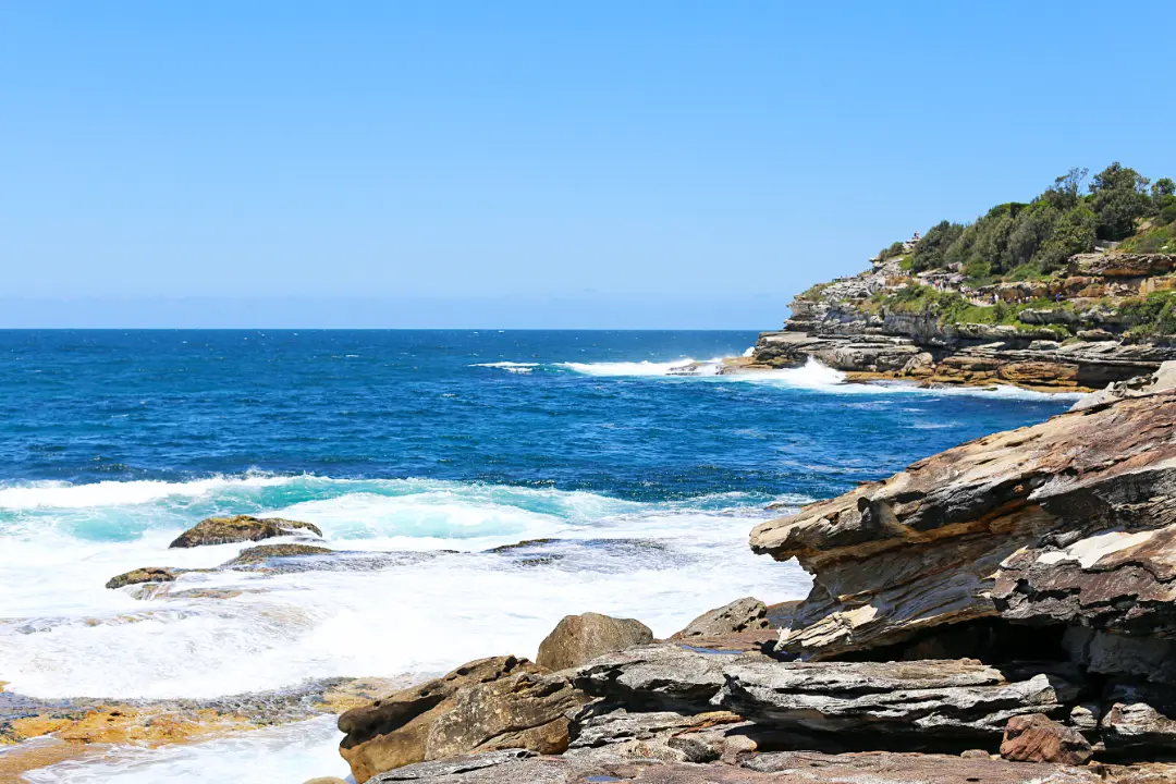 bondi to bronte coastal walk