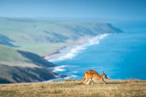 best time to visit australia