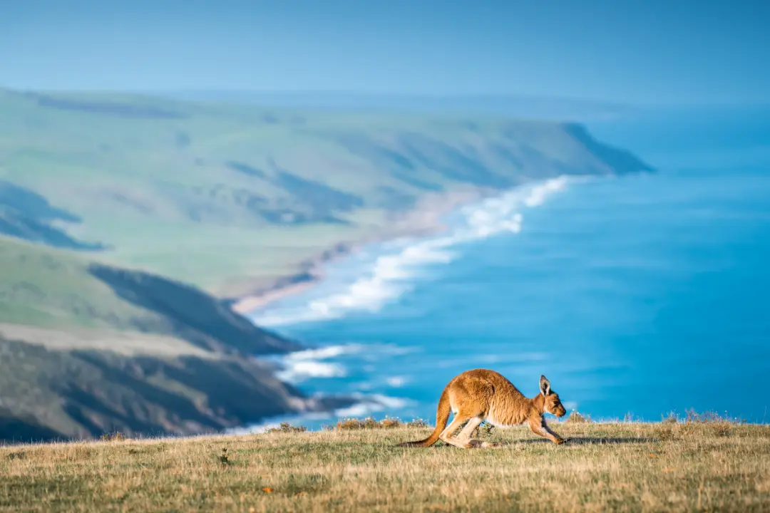 best time to visit australia